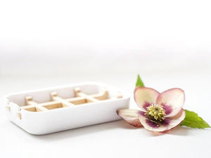 Biodegradable Soap Dish - Little Flower Soap Co
