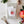 Load image into Gallery viewer, Apple Mini Notecard - Little Flower Soap Coblank cardcardemily lexGreeting Card
