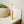Load image into Gallery viewer, Compostable Bamboo Travel Toothbrush - Little Flower Soap Co
