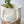 Load image into Gallery viewer, DuPont Paper and Canvas Tote - Little Flower Soap Co
