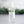 Load image into Gallery viewer, Hand Sanitizer Spray 4oz Noble Fir - Little Flower Soap Co
