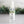Load image into Gallery viewer, Hand Sanitizer Spray 2oz Noble Fir - Little Flower Soap Co
