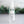 Load image into Gallery viewer, Hand Sanitizer Spray Orange Clove - Little Flower Soap Co
