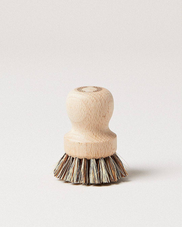Laurel Pot Brush - Little Flower Soap Co