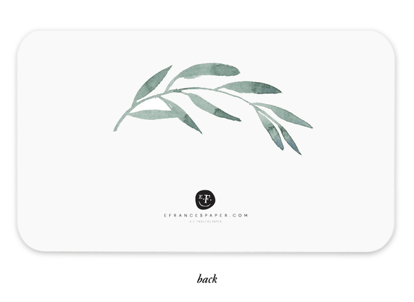 Olive Branch Little Notes - 85 Flat Cards - Little Flower Soap Co