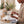 Load image into Gallery viewer, Tallow Balm for Dry Skin | Natural Grass - Fed Moisturizer - Little Flower Soap CoFace Care
