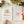 Load image into Gallery viewer, Woodland watercolor workbook - Little Flower Soap Coanimalbeginner watercolor kitemily lexart supplies
