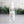 Load image into Gallery viewer, Natural lavender citrus sanitizer spray with essential oils and 80% alcohol.
